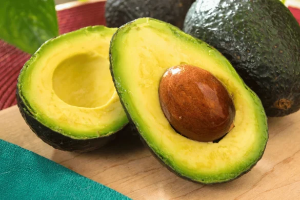 interesting facts about avocados